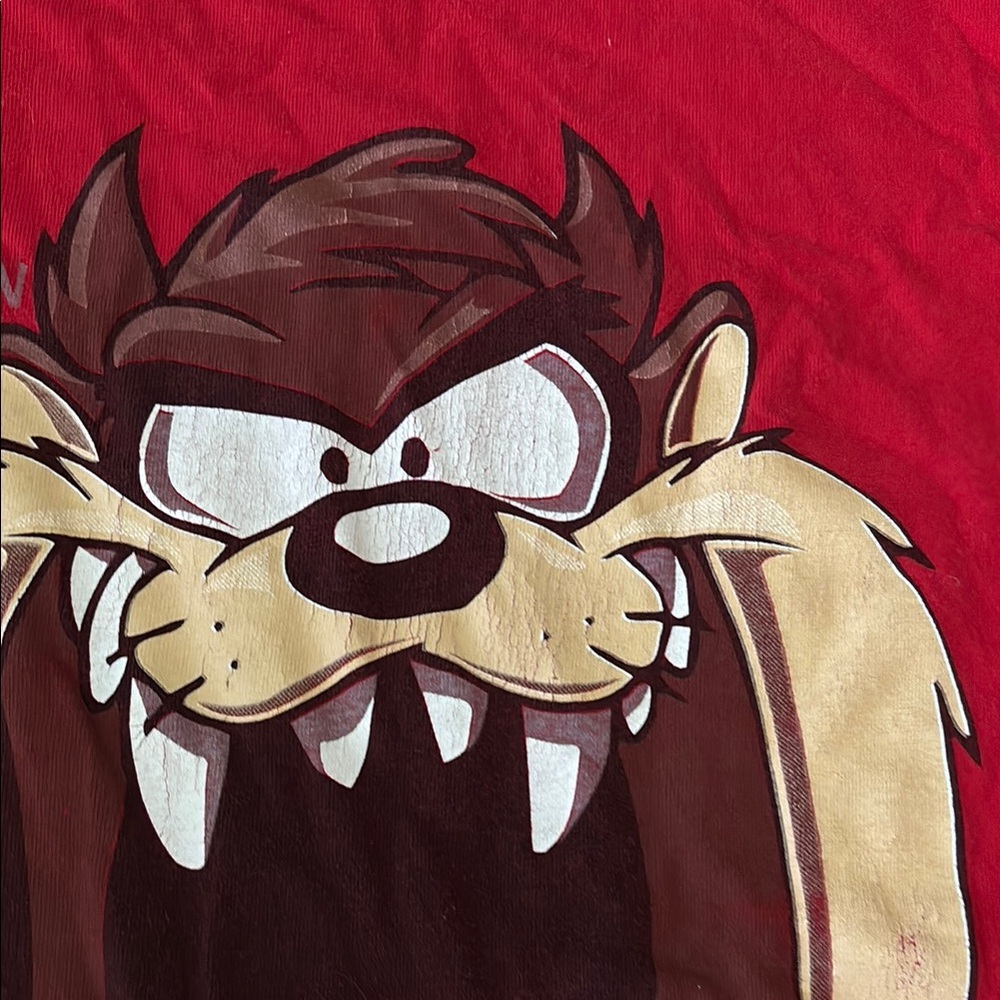 Fruit of the Loom Looney Tunes Bugs Bunny & Taz Tee - Picture 4 of 7